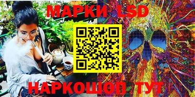 гидропоника Новозыбков