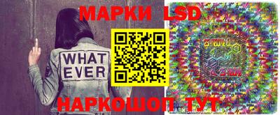 гидропоника Новозыбков
