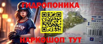 гидропоника Новозыбков