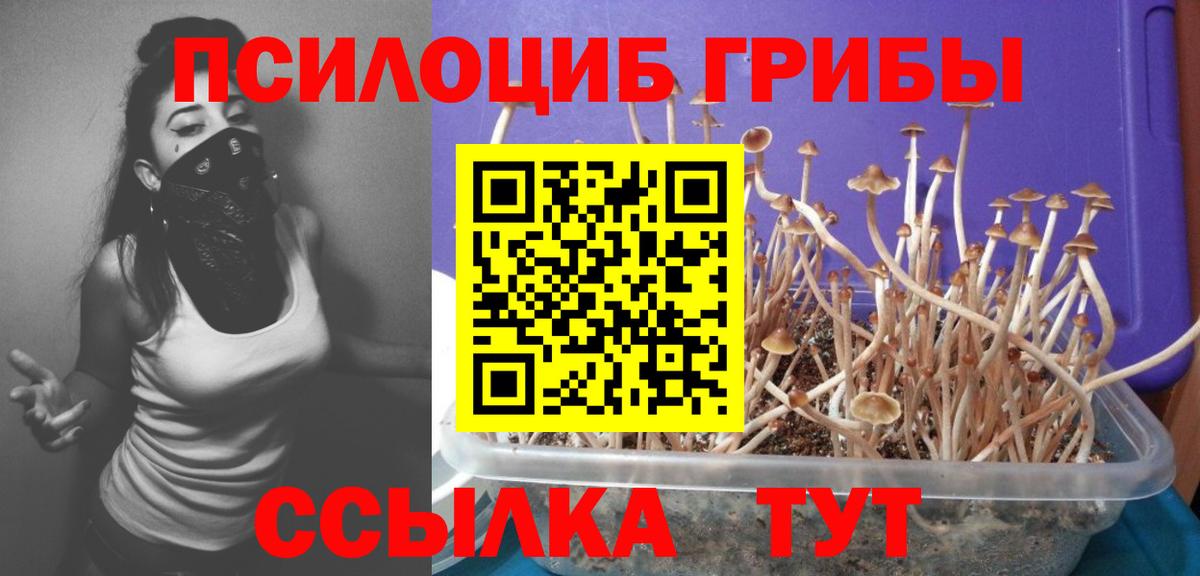 Псилоцибиновые грибы Magic Shrooms Среднеуральск