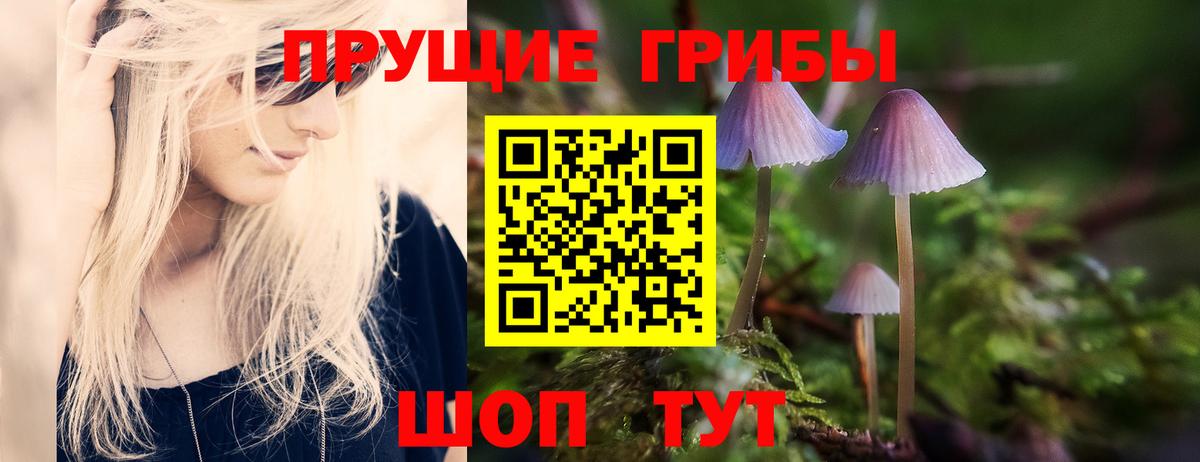 Среднеуральск  Псилоцибиновые грибы Cubensis  Псилоцибиновые грибы Psilocybe  Вход с VPN 